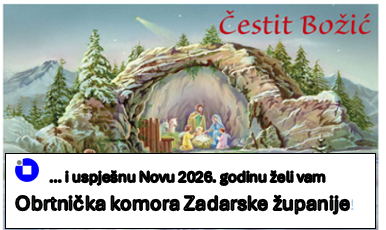 Čestit Božić i uspješnu Novu 2026.godinu želi vam Obrtnička komora Zadarske županije